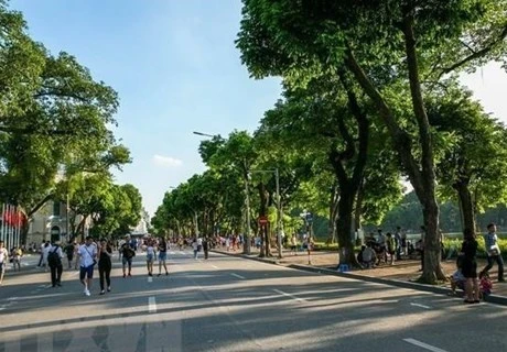 Organizan en Vietnam actividades por el Día Mundial de Medio Ambiente 