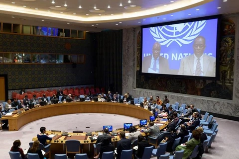 Vietnam elegido miembro no permanente del Consejo de Seguridad de ONU