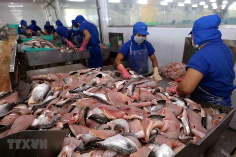 Ofrece Acuerdo Transpacífico grandes posibilidades para las exportaciones de pescado de Vietnam
