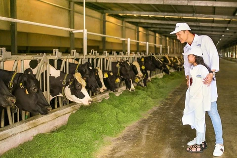 Grupo lácteo vietnamita Vinamilk planea entender sus actividades productivas en Ha Tinh