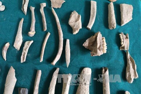 Descubren en provincia vietnamita de Bac Kan huellas de humanos prehistóricos 