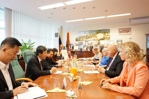 Promueven cooperación entre las localidades vietnamitas y checas