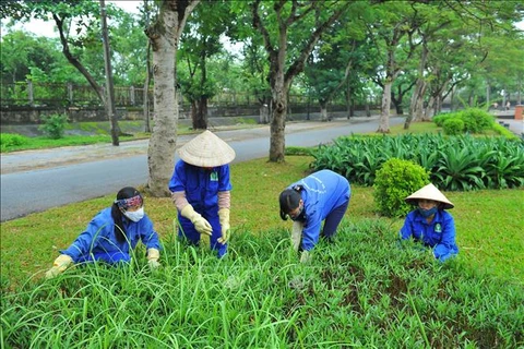 Intercambian expertos vietnamitas y extranjeros sobre capacitación profesional en Medio Ambiente 