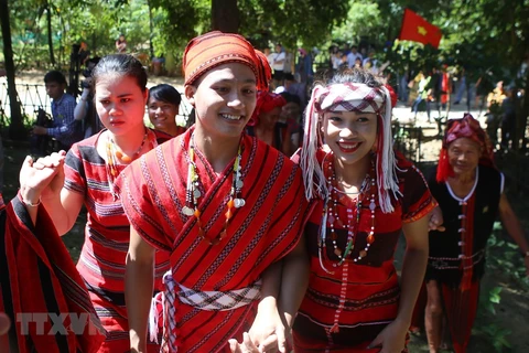 Celebrarán en Vietnam el Festival de Familias 