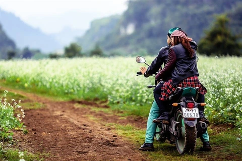Destacan a Vietnam entre los mejores países para viajar en motocicleta