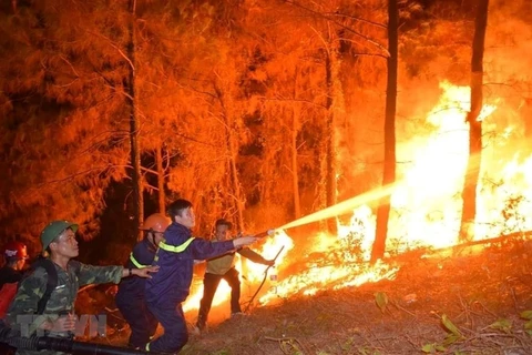 Se enfrasca Vietnam en controlar grave incendio forestal en provincia central 