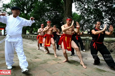 La quintaesencia de las artes marciales tradicionales de Vietnam