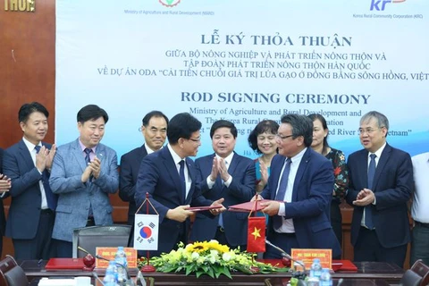 Invierte Corea del Sur en Vietnam para mejorar la cadena de valor del arroz
