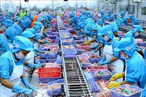 Prevé Vietnam exportaciones acuícolas por cinco mil millones de dólares en segundo semestre de 2019