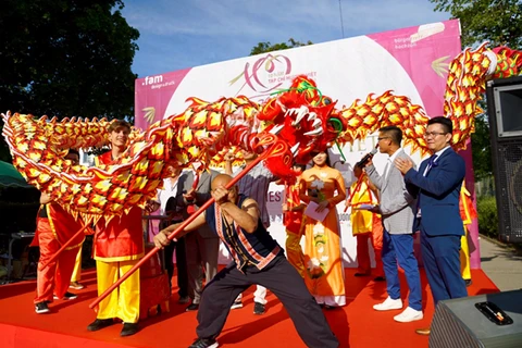 Festival de cultura vietnamita en Alemania
