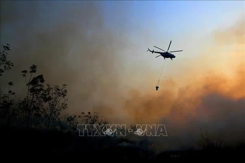 Despliega Indonesia miles de efectivos para combatir incendios forestales