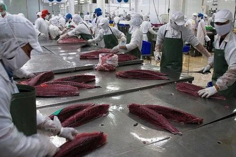 Aumentan exportaciones de atún vietnamita a Italia