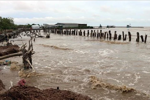 Fuertes lluvias en provincia sureña vietnamita causan daños millonarios