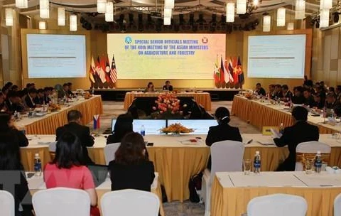 Países de ASEAN intensifican cooperación en sector agroforestal