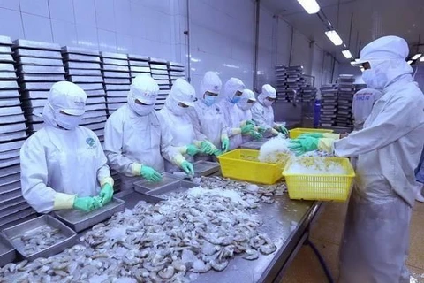 Se recupera exportación de camarones de Vietnam a China