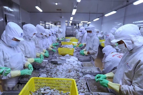 Vietnam ingresa fondo multimillonario por exportaciones de productos agrosilvícolas y acuícolas 