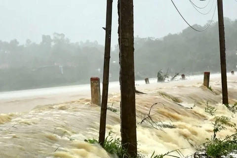 Al menos tres muertos por el tifón Podul en Vietnam
