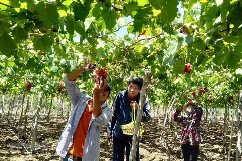 Destacan a Vietnam como atractivo destino del turismo de experiencias