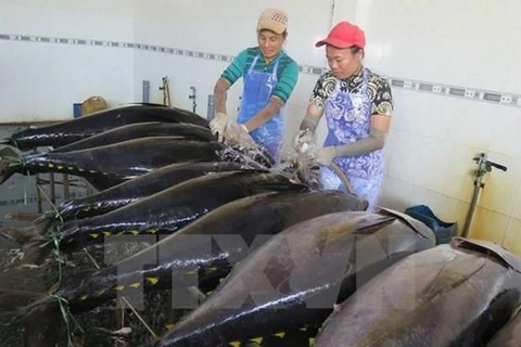 Aumenta Grecia importaciones de atún vietnamita