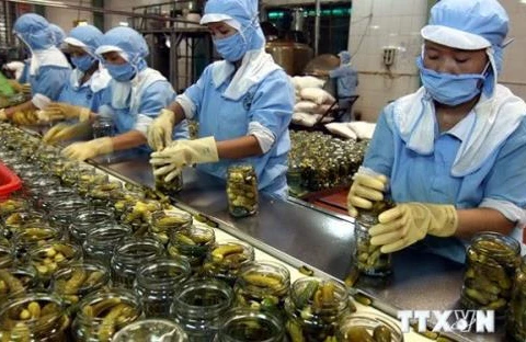 Exportaciones de frutas y verduras de Vietnam caen un 5,8 por ciento en ocho meses