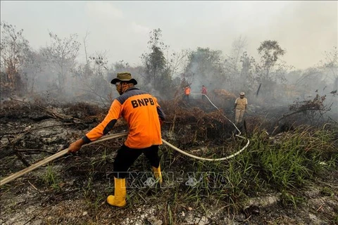 Más de 39 mil personas afectadas por humo en Indonesia