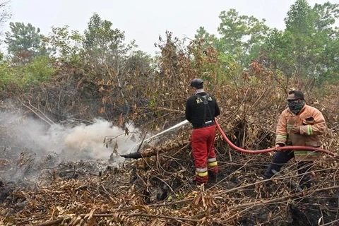  Indonesia cierre aeropuerto y escuelas debido a incendios forestales