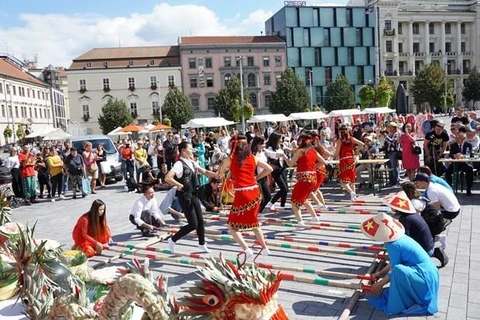 Celebran Día de Cultura Vietnamita en República Checa