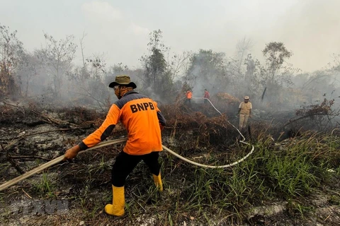 Impide densa niebla causada por incendios el aterrizaje de aviones en Indonesia