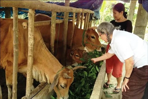Provincia central vietnamita ayuda a víctimas del Agente Naranja/Dioxina