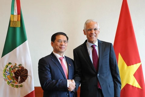  Realizan Vietnam y México quinta consulta política