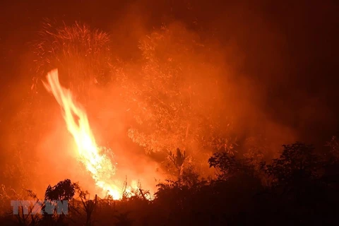 Sufren más de 900 mil indonesios de infecciones respiratorias agudas por incendios forestales