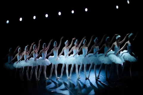 Presentarán artistas vietnamitas obra clásica de ballet “El lago de los cisnes”