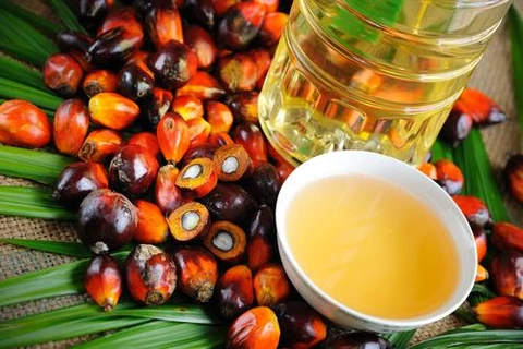 Suspende Indonesia gravamen a exportación del aceite de palma crudo