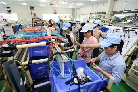Provincia vietnamita de Vinh Phuc logra resultados económicos alentadores 