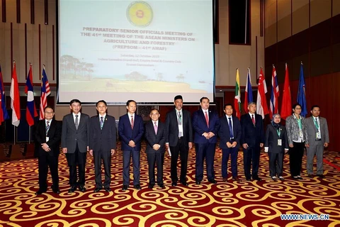 Destacan importancia de lazos entre países de la ASEAN para avance de Brunei