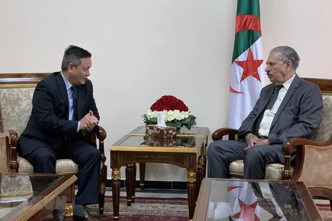 Patentizan en Argelia compromiso de fomentar cooperación multifacética con Vietnam