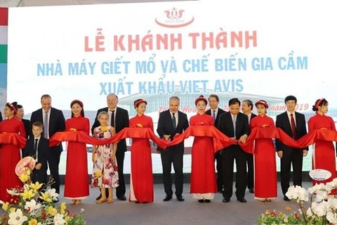 Inauguran moderna planta de procesamiento de aves de corral en Thanh Hoa