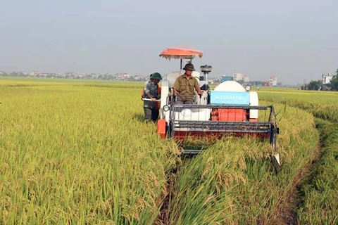 Provincia vietnamita de Vinh Phuc impulsa desarrollo de industria en zonas rurales