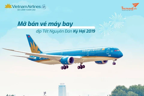 Aumentará Vietnam Airlines vuelos en ocasión de festejos por Año Nuevo Lunar