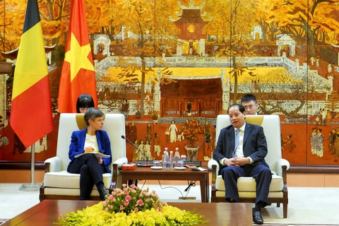 Impulsan cooperación entre Hanoi y provincia belga de Amberes 