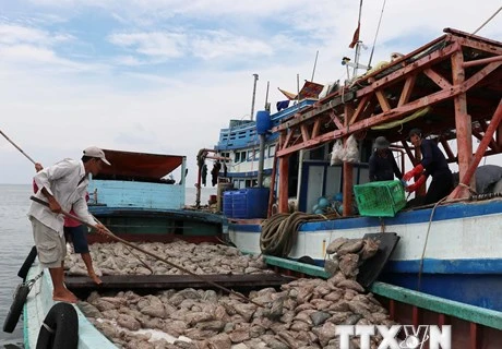 Delegación europea elogia esfuerzos vietnamitas en implementación de medidas contra la pesca ilegal 