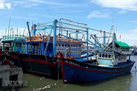 Provincia de Vietnam empeñada en reforzar combate contra la pesca ilegal
