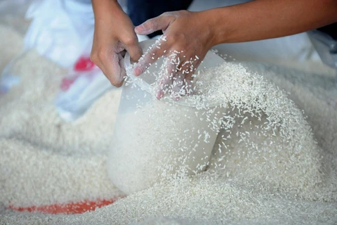 Ordena presidente de Filipinas suspensión de las importaciones de arroz