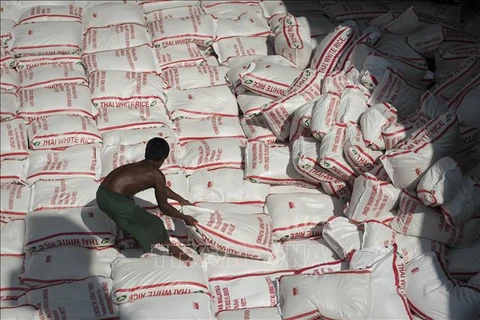 Disminuirá la producción de arroz de Tailandia en temporada 2019-2020