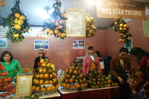 Inauguran en Hanoi Semana de naranja de provincia vietnamita de Ha Giang