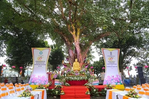 Conmemoran 60 aniversario del obsequio de árbol Bodhi de presidente indio a Vietnam 