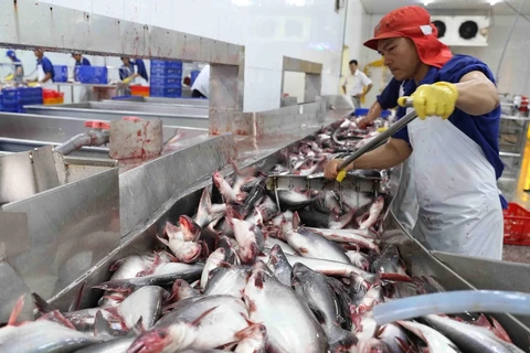 Proyecta Vietnam elevar exportaciones de productos acuáticos a 10 mil millones de dólares 