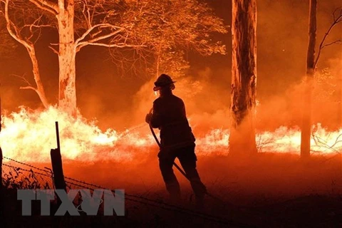 Vietnam envía condolencias a Australia por incendios forestales