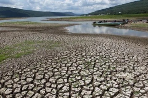 Severa sequía en 2020 provocará aumento de precios de productos agrícolas de Tailadia