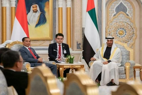 Firman Indonesia y Emiratos Árabes Unidos numerosos acuerdos cooperativos